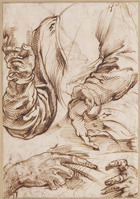 A+ 014
<br/>
Studies van handen en armen
<br/>
<em>Passerotti, Bartolomeo (1529-1592)</em>